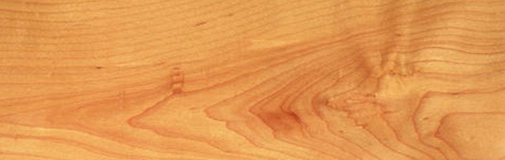 Maple wood for carving (hairewood)