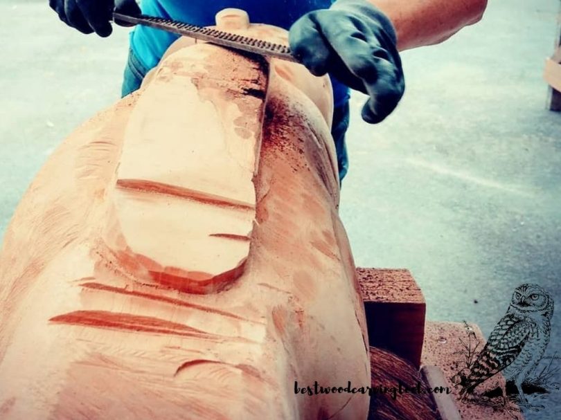 Types and Functions of Raspels