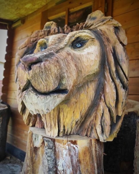 The wooden head of the lion is carved from cedar
Author - <a href="https://www.instagram.com/daniele_chainsaw_carving/" rel="nofollow">Daniele Bello sculture</a>